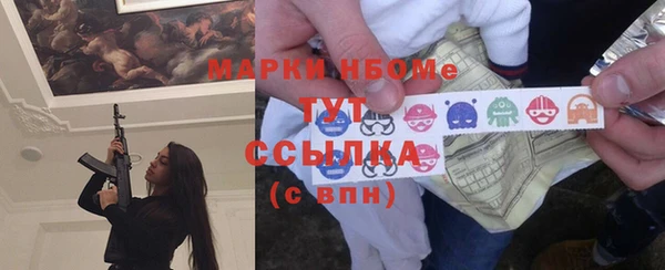 прущий лед Вяземский