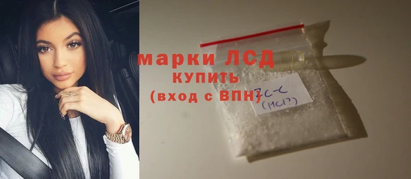 прущий лед Вяземский
