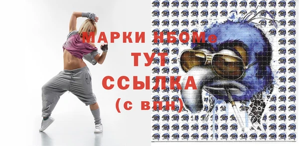 прущий лед Вяземский