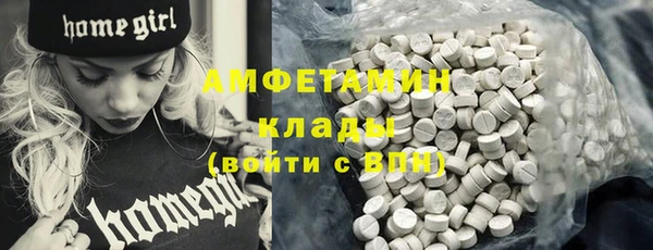 прущий лед Вяземский
